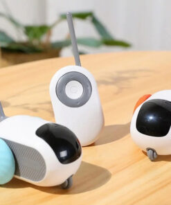 Kaugjuhitav interaktiivne manguasi kassile 5