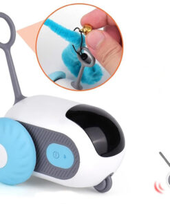 Kaugjuhitav interaktiivne manguasi kassile 6