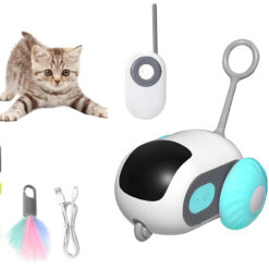 Interaktiivne kaugjuhitav kassimänguasi Soodukas.Com