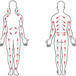 Kehamassaaži hari naturaalsete harjastega Soodukas.Com