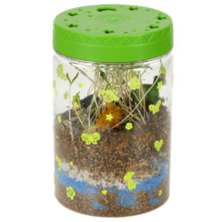 LED valgustusega mini-terraarium taimede ja dinosaurustega Soodukas.Com