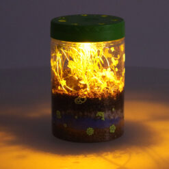 LED valgustusega mini-terraarium taimede ja dinosaurustega Soodukas.Com