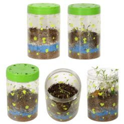 LED valgustusega mini-terraarium taimede ja dinosaurustega Soodukas.Com