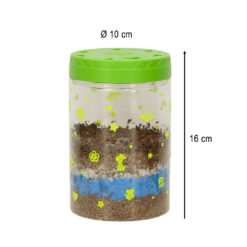 LED valgustusega mini-terraarium taimede ja dinosaurustega Soodukas.Com