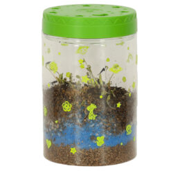 LED valgustusega mini-terraarium taimede ja dinosaurustega Soodukas.Com