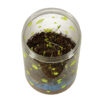 Mini terraarium dinosauruste ja LED valgustusega 9