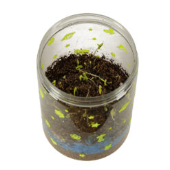 LED valgustusega mini-terraarium taimede ja dinosaurustega Soodukas.Com