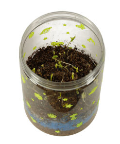 Mini terraarium dinosauruste ja LED valgustusega 9