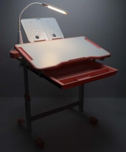 Reguleeritav laste kirjutuslaud 10