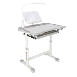Reguleeritav laste kirjutuslaud ja tool + LED lamp ja lisad Soodukas.Com