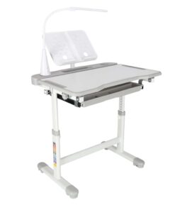 Reguleeritav laste kirjutuslaud 18 1