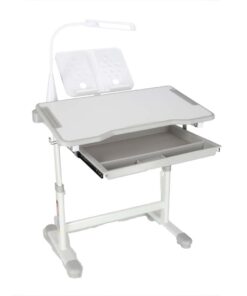 Reguleeritav laste kirjutuslaud 20 1