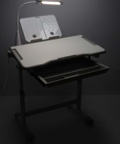 Reguleeritav laste kirjutuslaud 23 1