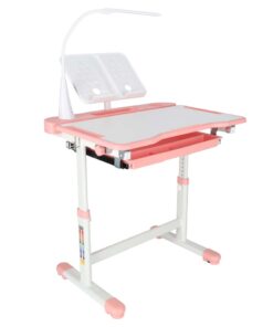 Reguleeritav laste kirjutuslaud 5
