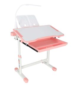 Reguleeritav laste kirjutuslaud 7