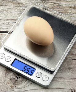 elektrooniline koogikaal 1