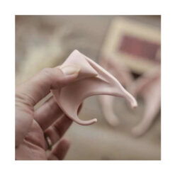 Haldjakõrvad Soodukas.Com