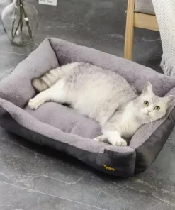 magamispesa koerale voi kassile 11