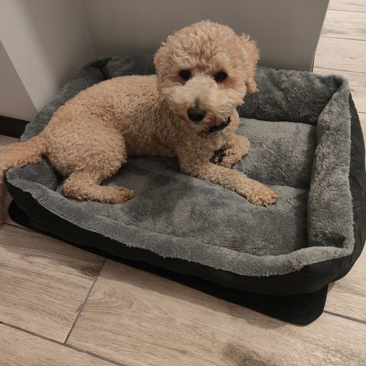 Magamisalus koerale või kassile 60x45cm - Image 6