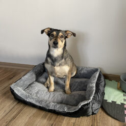 Magamisalus koerale või kassile 60x45cm Soodukas.Com