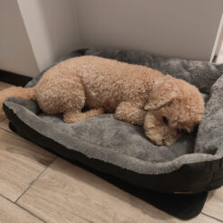 Magamisalus koerale või kassile 60x45cm Soodukas.Com