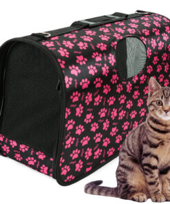 Transpordikott kassile