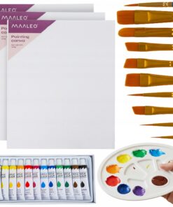 Kunstikomplekt - akrüülvärvid, pintslid, lõuendid