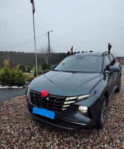 Jõulukaunistused autole – põhjapõdra sarved ja nina Soodukas.Com