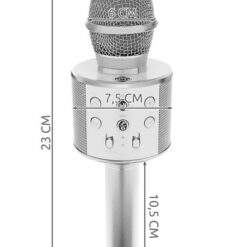 Karaoke Microphone - Silver Izoxis 22188 Soodukas.Com