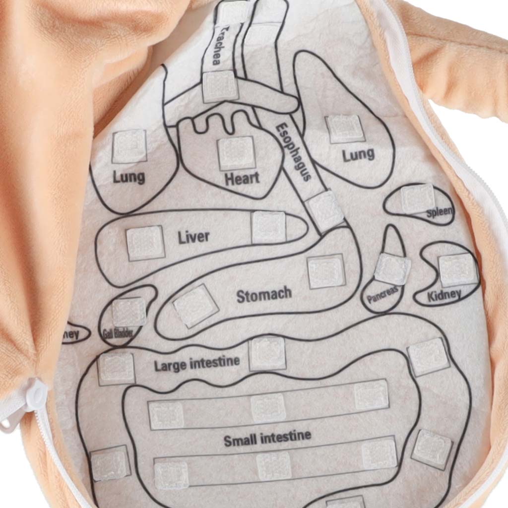 Anatoomia nukk tüdrukutele – Soodukas.Com Anatoomia nukk tüdrukutele - Image 7