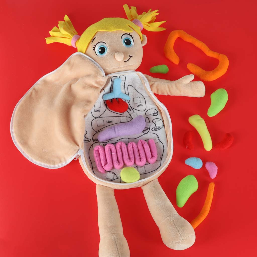 Anatoomia nukk tüdrukutele – Soodukas.Com Anatoomia nukk tüdrukutele - Image 8