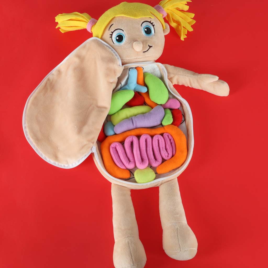 Anatoomia nukk tüdrukutele – Soodukas.Com Anatoomia nukk tüdrukutele - Image 9