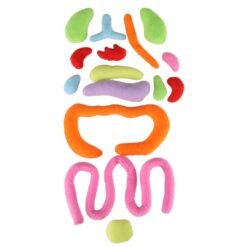 Anatoomia nukk tüdrukutele – Soodukas.Com Anatoomia nukk tüdrukutele Soodukas.Com