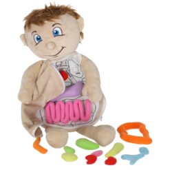 Anatoomia õppimise nukk poiss Soodukas.Com