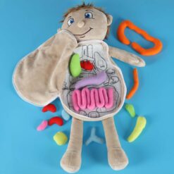 Anatoomia õppimise nukk poiss Soodukas.Com