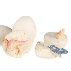 Dinosauruste avastamise komplekt Soodukas.Com