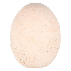 Dinosauruste arheoloogiline avastamiskomplekt Soodukas.Com