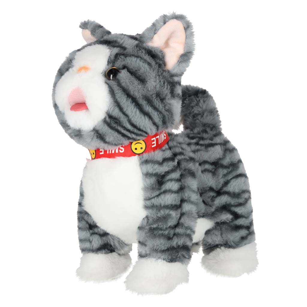 Interaktiivne jalutuskäigu kass – Soodukas.Com Interaktiivne jalutuskäigu kass - Image 3