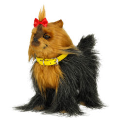 Interaktiivne mängukoer lastele Soodukas.Com