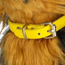 Interaktiivne mängukoer lastele Soodukas.Com