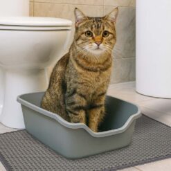 Veekindel kassiliivamatt Soodukas.Com