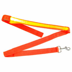 LED-valgustusega koera jalutusrihm Soodukas.Com