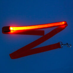 LED-valgustusega koera jalutusrihm Soodukas.Com