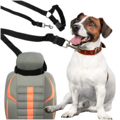 Koera turvarihm autosse