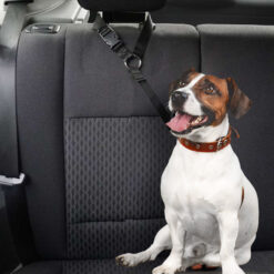 Koera turvarihm autosse Soodukas.Com