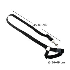 Koera turvarihm autosse Soodukas.Com