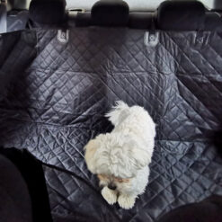 Veekindel autoistme kate koertele Soodukas.Com