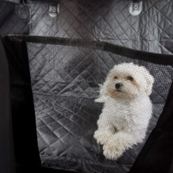 Veekindel autoistme kate koertele Soodukas.Com