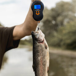 Digitaalne konksuga taskukaal 50 kg – Soodukas.Com Digitaalne konksuga taskukaal 50 kg Soodukas.Com