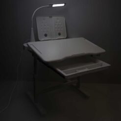 Ergonoomiline reguleeritav laste kirjutuslaud ja tool + LED lamp ja lisad Soodukas.Com